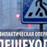 Профилактическое мероприятие "Пешеход". - Красногорский район